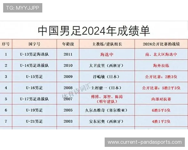 中国足球星级排行榜揭晓 揭秘国内顶级球员的实力与成就 中国足球星级排行榜揭晓 揭秘国内顶级球员的实力与成就