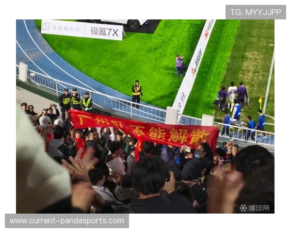 中国足球目前最大球星引领新时代崛起，成就与挑战并存的传奇之路