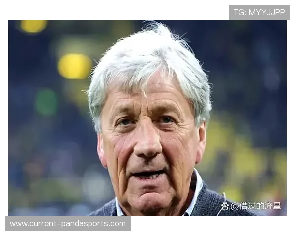 绿茵场上的传奇风采 足球巨星背后的成长与荣耀