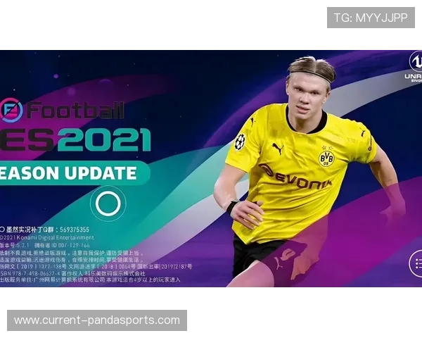 足球巨星风采展现：凝聚荣耀与梦想的绿茵传奇之路