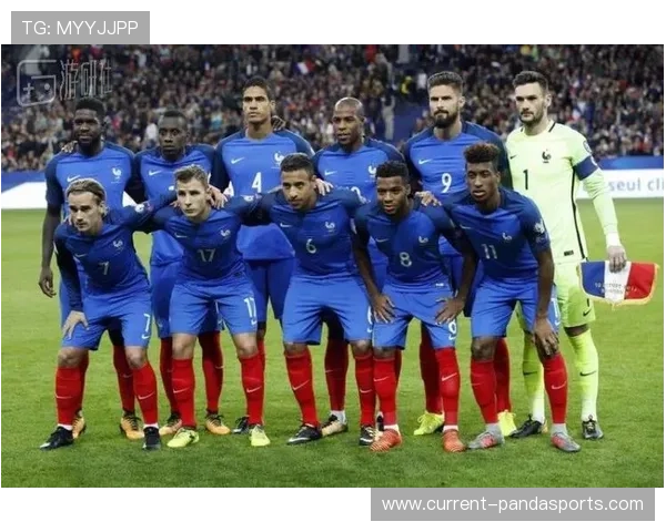 足球星级评定体系解析与球员综合表现分析